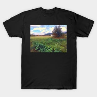 Verdant field at dusk T-Shirt